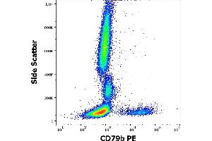 Flow cytometry surface staining pattern of human peripheral whole blood stained using anti-human CD79b (CB3-1) PE antibody (10 μL reagent / 100 μL of peripheral whole blood). (CD79b 抗体  (PE))