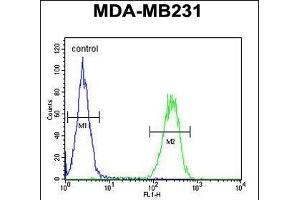 PRSS3 Antibody (N-term) (ABIN654446 and ABIN2844180) flow cytometric analysis of MDA-M cells (right histogram) compared to a negative control cell (left histogram). (PRSS3 抗体  (N-Term))