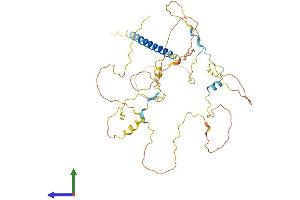 AlphaFold protein structure predicition of Mouse Recombinant Pag1 Protein, UniprotID Q3U1F9