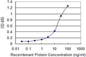 ELISA image for anti-Tumor Necrosis Factor (Ligand) Superfamily, Member 11 (TNFSF11) (AA 222-316) antibody (ABIN522063)