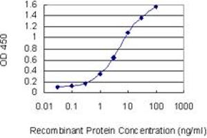 Detection limit for recombinant GST tagged ATOH1 is 0. (ATOH1 抗体  (AA 266-354))