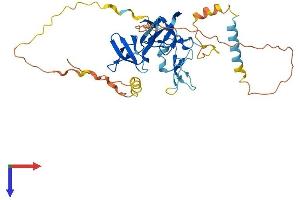 AlphaFold protein structure predicition of Human Recombinant STAC3 Protein, UniprotID Q96MF2
