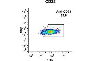 Expi 293 cell line transfected with irrelevant protein (left) and human CD22 (right) were surface stained with Rabbit anti- CD22 monoclonal antibody 1 μg/mL (clone: DM13) followed by Alexa 488-conjugated anti-rabbit IgG secondary antibody. (CD22 抗体  (AA 20-687))
