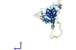 AlphaFold protein structure predicition of Mouse Recombinant Rgp1 Protein, UniprotID Q8BHT7