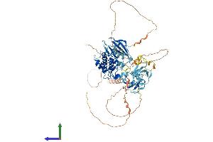 AlphaFold protein structure predicition of Human Recombinant DCLK1 Protein, UniprotID O15075