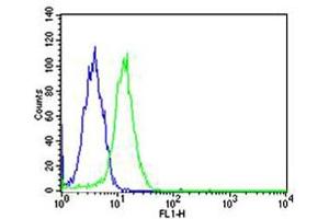 Flow cytometric analysis of Hela cells using SP1 Antibody (green, Cat(ABIN1944791 and ABIN2838536)) compared to an isotype control of mouse IgG1(blue). (SP1 抗体  (AA 1-250))