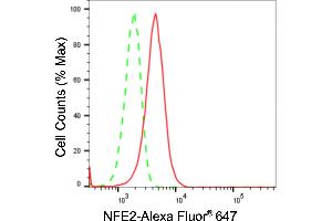 Flow cytometric analysis of NFE2 expression in HeLa cells using NFE2 antibody (ABIN7799633), 1:2,000). (Recombinant NFE2 抗体)