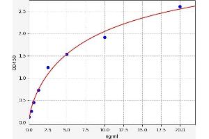 Typical standard curve (KIAA0101 ELISA 试剂盒)