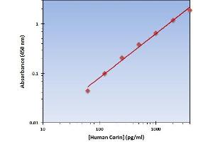 This is an example of what a typical standard curve will look like. (Corin ELISA 试剂盒)