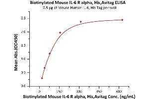 Immobilized Mouse Human IL-6, His Tag (ABIN6973129) at 5 μg/mL (100 μL/well) can bind Biotinylated Mouse IL-6 R alpha, His,Avitag (ABIN6973130) with a linear range of 20-156 ng/mL (QC tested). (IL6RA Protein (AA 20-357) (His tag,AVI tag,Biotin))