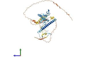 Protein Structure (PS) image for KAT8 Regulatory NSL Complex Subunit 2 (KANSL2) (AA 1-492) protein (His tag) (ABIN7548599)