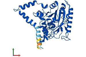 AlphaFold protein structure predicition of Mouse Recombinant Awat1 Protein, UniprotID A2ADU9 (AWAT1 Protein (AA 1-328) (His tag))