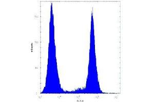 BRAF antibody flow cytometric analysis of HeLa cells (right histogram) compared to a negative control (left histogram). (BRAF 抗体  (AA 424-453))