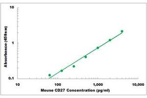 Representative Standard Curve (CD27 ELISA 试剂盒)