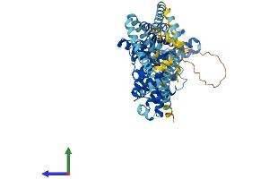 Protein Structure (PS) image for Suppression of Tumorigenicity 7 (ST7) (AA 1-577) protein (His tag) (ABIN7560399)