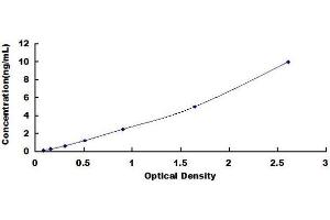Procollagen, Type III ELISA Kit