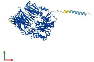 Protein Structure (PS) image for Dipeptidyl-Peptidase 4 (DPP4) (AA 1-760) protein (His tag) (ABIN7563068)