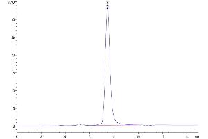 Size-exclusion chromatography-High Pressure Liquid Chromatography (SEC-HPLC) image for GDNF Family Receptor alpha Like (GFRAL) (AA 19-351) protein (Fc Tag) (ABIN7274736)