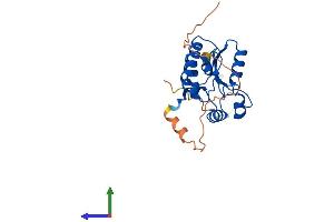 Protein Structure (PS) image for NEDD4 Binding Protein 2-Like 1 (N4BP2L1) (AA 1-243) protein (His tag) (ABIN7549607)