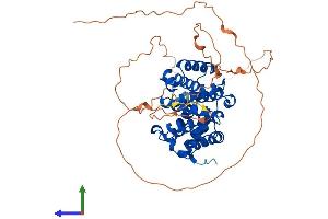 Protein Structure (PS) image for Cyclin A1 (CCNA1) (AA 1-465) protein (His tag) (ABIN7553291)