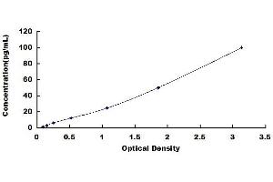 Typical standard curve (IL28B ELISA 试剂盒)