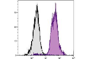 C57BL/6 mouse splenocytes were stained with Mouse Anti-Mouse CD45. (CD45.2 抗体  (APC))