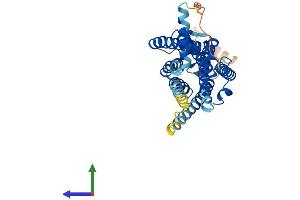 Protein Structure (PS) image for Cannabinoid Receptor 2 (CNR2) (AA 1-347) protein (His tag) (ABIN7563297)
