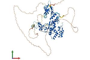 AlphaFold protein structure predicition of Mouse Recombinant Chfr Protein, UniprotID Q810L3