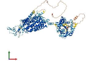 Protein Structure (PS) image for Solute Carrier Family 12 (Potassium-Chloride Transporter) Member 7 (SLC12A7) (AA 1-1083) protein (His tag) (ABIN7565246)