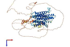 AlphaFold protein structure predicition of Human Recombinant SLC45A4 Protein, UniprotID Q5BKX6