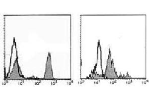 Flow Cytometry (FACS) image for anti-CD4 (CD4) antibody (ABIN1106337) (CD4 抗体)