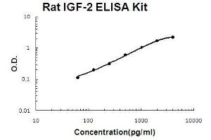 Rat IGF-2 PicoKine ELISA Kit standard curve (IGF2 ELISA 试剂盒)