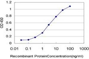 Detection limit for recombinant GST tagged ADAM2 is approximately 0. (ADAM2 抗体  (AA 376-475))