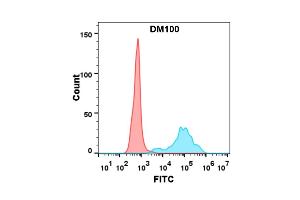 Flow cytometry analysis with Anti-CD40 (DM100) on Expi293 cells transfected with human CD40 (Blue histogram) or Expi293 transfected with irrelevant protein (Red histogram). (CD40 抗体  (AA 21-193))