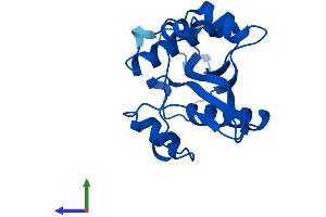 AlphaFold protein structure predicition of Mouse Recombinant Sat1 Protein, UniprotID P48026