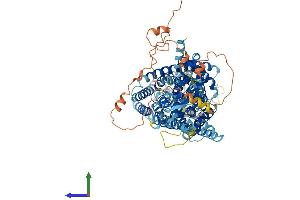 Protein Structure (PS) image for Chloride Channel, Voltage-Sensitive 6 (CLCN6) (AA 1-869) protein (His tag) (ABIN7553446)
