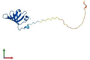 Protein Structure (PS) image for Small Nuclear Ribonucleoprotein D1 Polypeptide 16kDa (SNRPD1) (AA 1-119) protein (His tag) (ABIN7546064)