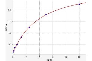 Typical standard curve (ILVBL ELISA 试剂盒)
