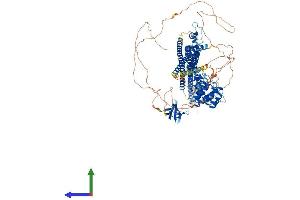 Protein Structure (PS) image for SLIT-ROBO rho GTPase Activating Protein 1 (SRGAP1) (AA 1-1062) protein (His tag) (ABIN7564828)