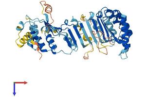AlphaFold protein structure predicition of Human Recombinant PRAMEF10 Protein, UniprotID O60809