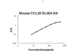 Mouse MIP-3 alpha/CCL20 PicoKine ELISA Kit standard curve (CCL20 ELISA 试剂盒)