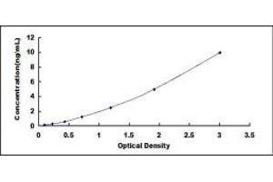 Typical standard curve (KRT12 ELISA 试剂盒)