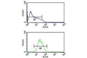 ATF7 antibody flow cytometric analysis of HL-60 cells (bottom histogram) compared to a negative control (top histogram). (ATF7 抗体  (AA 68-96))