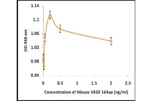 Activity Assay (AcA) image for Vascular Endothelial Growth Factor (VEGF) (Active) protein (ABIN5509471) (VEGF 蛋白)