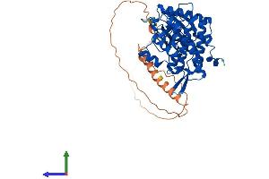 Protein Structure (PS) image for CDC-Like Kinase 4 (CLK4) (AA 1-481) protein (His tag) (ABIN7562331)