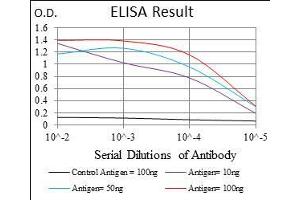 Black line: Control Antigen (100 ng), Purple line: Antigen(10 ng), Blue line: Antigen (50 ng), Red line: Antigen (100 ng), (NPC1 抗体  (AA 34-174))