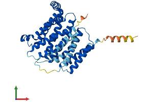 Protein Structure (PS) image for CMP-Sialic Acid Transporter (CMPST) (AA 1-336) protein (His tag) (ABIN7557703)