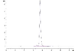 The purity of Human CD117 is greater than 95 % as determined by SEC-HPLC.
