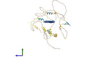 Protein Structure (PS) image for Activating Transcription Factor 2 (ATF2) (AA 1-505) protein (His tag) (ABIN7552536)