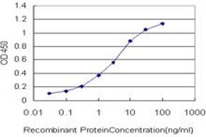 Detection limit for recombinant GST tagged TSSK1 is approximately 0. (TSSK1B 抗体  (AA 267-367))